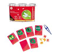 Idena 40329-Scatola per Raccolta 3 Lenti, pinzette e Carte Piccoli Insetti in plastica, Lente d'Ingrandimento per Bambini dai 5 Anni in su, 40329