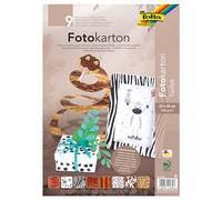 IDENA Ordinati Bearskin Cartone in Pelle 300 g/m², 25 x 35 cm, 9 Arco - Folia 5789