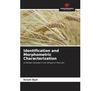 Identification and Morphometric Characterization: of Wheat Varieties in the Wilaya of Tlemcen