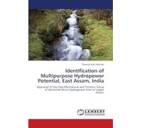 Identification of Multipurpose Hydropower Potential, East Assam, India: Appraisal of the Geo-Mechanical and Tectonic Setup of Identified Micro Hydropower Sites of Upper Assam