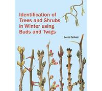 Identification of Trees and Shrubs in Winter Using Buds and Twigs