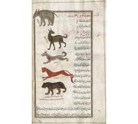 Identificato nel libro come FROM parte superiore: ippopotamo - ippopotamo amphibius - una pecora marina - tre varietà di cane marino dopo un'illustrazione di Mirza Baqir in un libro iraniano del XIX