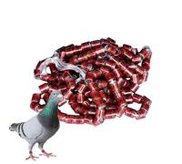 Identificatori per piccioni, anelli per colombe - 50 pezzi di sicuri per la casetta degli - Colori vivaci Pegeon di dimensioni generiche per casetta per