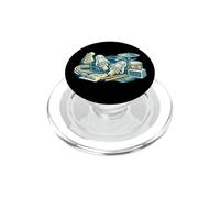 Identità dei tappi per le orecchie di prova PopSockets PopGrip per MagSafe