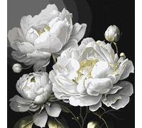Ideyka Dipingere con i numeri, bellezza impeccabile con colori metallici art_selena_ua 40x40 con cornice in legno