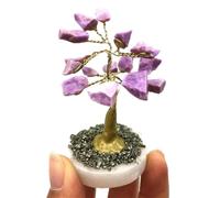 IDGTTLDF Stone 1PC Phospesiderite Tree Gemstone Crystal Lucky Rough Quartz Crystals