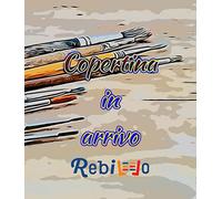 IDISCOVER PREMIUM 3 - (9788883396984) + Materiali didattici - Rebillo