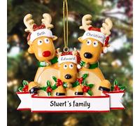 iDIY Ciondolo di natale palline natale personalizzate con nomi di famiglia 2/3/4/5/6/7/8,decorazioni natale 2024 in resina Regali di Natale personalizzati, il partner e gli amici 3