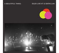 Idles - A Beautiful Thing Idles Live A Bataclan