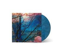 Idlewild Idlewild (Vinyl LP) 12" Album Coloured Vinyl