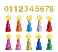 IDNVFY 10 Pezzi Cappelli da Mini Party E 1 Set di Adesivi Digitali, Cappelli da Festa Lucenti, Accessori per Abbigliamento, Frequenze per Animali Domestici.