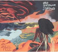 Idris Ackamoor & The Pyramids - An Angel Fell - AA.VV. (Audio Cd)