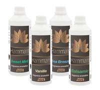 IDRO BATH Kit Assortito di Fragranze Aromatiche e Concentrate per Bagno Turco e HAMMAM (Balsamic, Sea Breeze, Sweet Mint E Vanilla) - 4pz. 500ml cad.