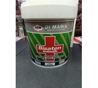 IDROPITTURA BISATEN ANTIMUFFA CERTIFICATA GDM LT13 90MQ INTEST COLORE BIANCO