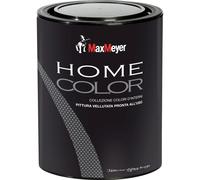 Idropittura murale MaxMeyer Home Color argento 0,75 l Argento
