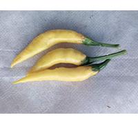 Idroponica Semi di Peperoncino Cedrino
