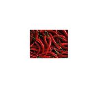 Idroponica Thai Red Hot