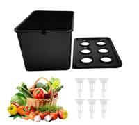 idroponico per Interni, Kit per piantine a 6 Fori, Scatola per la Coltivazione del Giardino Senza Suolo, Contenitore per la Crescita delle Piante, fioriera sostenibile per ortaggi, Frutta