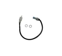 IDROSTOP POMPA FRENO M10X1,0-1 FORO AP RACING POMPE RACING 2000