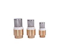 IDUTQUMW 1/2" 3/4" 1" 1-1/4" 1-1/2" 2" 2-1/2" 3" BSPP Female Brass Check Valve Non-Return with Steel Strainer Filter Water Plumbing Pump(1-1/4")