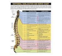 IDUTQUMW Detailed Spine and Nervous System Anatomy Poster - Educational Chart of Vertebrae & Nerves, Canvas Wall Art for Biology Classroom, Clinic, or Study(Unframed,08x12inch(20x30cm))