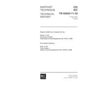 IEC/TR 60695-11-30 Ed. 1.0 b:2001, Fire hazard testing - Part 11-30: Test flames - History and development from 1979 to 1999