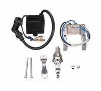IEEDFJKK Migliora il sistema di accensione della candela per bicicletta motorizzata facile da installare per bobina di accensione 49cc-80cc Magneto 66cc