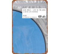 IEITB King Krule: Live on the Moon poster Tin Metal Sign Vintage Wall Plaque Decor 20,3 x 30,5 cm