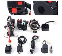 ieLsngai Completo cavo elettrico cablaggio raddrizzatore CDI, set di cablaggio, per ATV QUAD 150-250 300CC