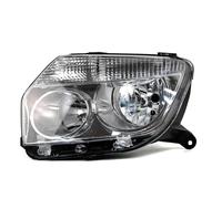 IENQBVL Cornice Cromata Nera Manuale Sinistra/destra 260100067R 260600069R Per Dacia Per Duster 2008 2009 2010 2011 2012(Chrome,Sinistra)