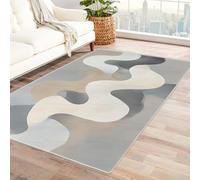 IEPOZWA Tappeto con Forme Organiche e Contrasti Cromatici Poema Per Studio, Soggiorno, Zona Pranzo, Antiscivolo, A Pelo Corto, Non Sfila(Cenere)-120x150cm