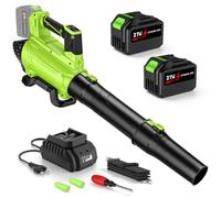 IERAKOR Soffiatore batteria con 2 tubi e 2 batterie 4,5 Ah, verde | Motore Brushless, 225 km/h, 650 cfm, 6 velocità, doppio tubo, 2 batterie 4.5 Ah, senza aspirazione, per giardino e auto