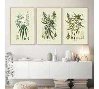 IEUUUB Stampe su tela vintage con poster botanici, quadri da parete per cucina, erbe aromatiche, piante medicinali, per l'arredamento del soggiorno, 50x70 cm (20x28 pollici) x3 con cornice