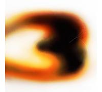 Still House Plants If I Don't Make It, I Love U (CD) Album