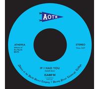 If I Had You