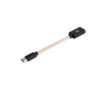 iFi audio - Cavo OTG audio/adattatore USB C per telefoni Android