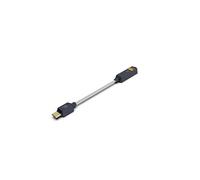 iFi Audio GO Link 2 - DAC portatile e amplificatore per cuffie - Adattatore USB-C a 3,5 mm - 29% più leggero e 8% più piccolo della prima generazione - Hi-Res ESS DAC supporta PCM fino a 32 bit/384