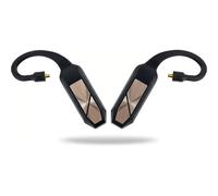 iFi Audio Go Pod - Trasmettitore wireless