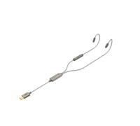 iFi GO Cavo USB-C con DAC e Amplificatore Cuffie per IEM | Hi-Res PCM 32 bit/384 kHz e DSD256 nativo, DAC ESS Sabre, gamma dinamica +6 dB, cavo argentato con microfono e controlli