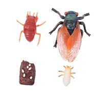 ifundom 1 Set Di Giocattoli Per Giocattoli Per La Scienza E L'Educazione Degli Animali Modelli Di Animali Giocattoli Per Il Ciclo Di Vita Plastica