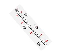 ifundom Adesivo Da Parete Decorativo Con Misuratore Di Per Bambini Motivo Orso 3d Per Camerette Adesivo Da Parete Orso 30-180 Cm Set