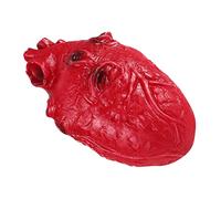 ifundom Cuore Finto Di Halloween Cuore Finto Realistico Nucleo Umano Per Casa Stregata Festa Di Zombi Costumi Horror Di Halloween E Decorazioni A Tema.