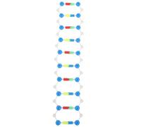 ifundom Didattico Dna a Doppia Componenti Molecolari, Strumento Scientifico Educativo per Studenti, Kit di Sussidi Didattici di Biologia per Lezioni e Apprendimento Scientifico
