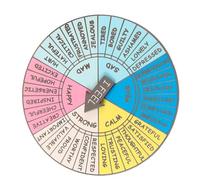 ifundom Distintivo Ruota delle Sensazioni in Metallo Decorazione Leggera e Resistente Regalo Commemorativo per Amici e Adolescenti Accessorio Unico per Salute Mentale e Sensibilizzazione