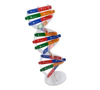 ifundom Dna DIY Autoassemblante a Doppia Giocattolo Didattico Scientifico per Ausilio Didattico di Biologia per Scuola e Laboratorio Educativo Colore Casuale Colore Casuale