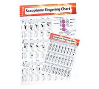 ifundom Guida Allapprendimento Più Semplice Del Sassofono 2 Accordi Tabella Degli Accordi Poster Musicale Per Livelli