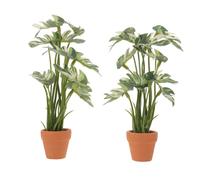 ifundom Mini Piante Artificiali Monstera in Plastica Atossica, Set da 2 Pezzi per Casa delle Bambole, Decorazioni Realistiche da Interno per Acquari e Ambienti in Miniatura