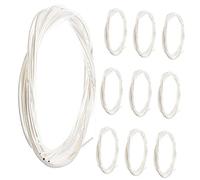 ifundom Muta Corde per Chitarra Classica in Nylon, 10 Confezioni, Comode e Resistenti All’usura, Ricambio per Uso Quotidiano