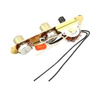 ifundom Piastra Di Controllo Elettrica Vie Con Manopole Regolabili Cablaggio Pre-cablato Per Chitarra Tl Accessorio Versatile Per Suoni Personalizzati e Tono Flessibile