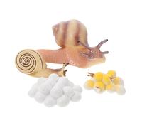 ifundom Set Modelli Di Evoluzione Delle Lumache in Plastica Sicura, Giocattolo Cognitivo Educativo Per Bambini, Kit Didattico Per Apprendimento Precoce e Scoperta Del Ciclo Di Vita